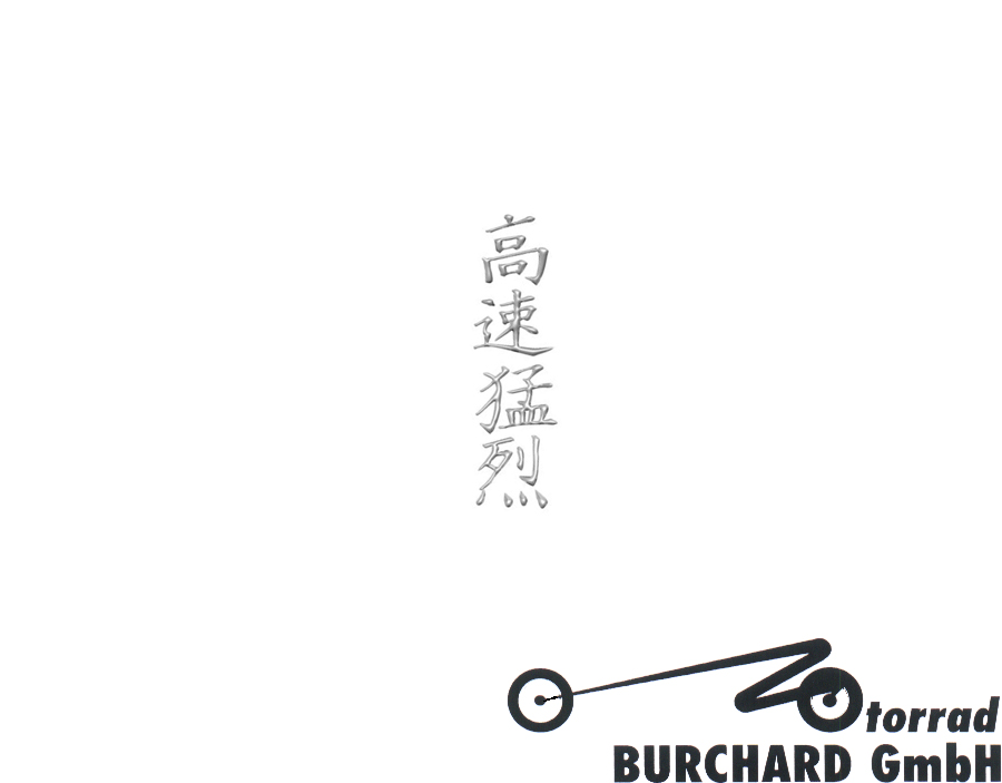 Highway Hawk Sticker (1 piece) "Chinese characters" 21 x 5,5cm